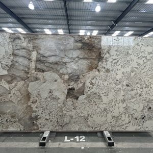 Patagonia Block LS2101