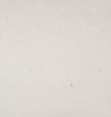 Fresh Concrete by Caesarstone